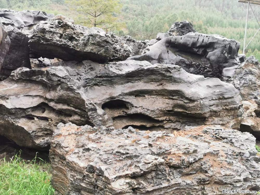 风景石、假山石大量有货，有需要的欢迎联系 - 新手上路 - 长春生活社区 - 长春28生活网 cc.28life.net