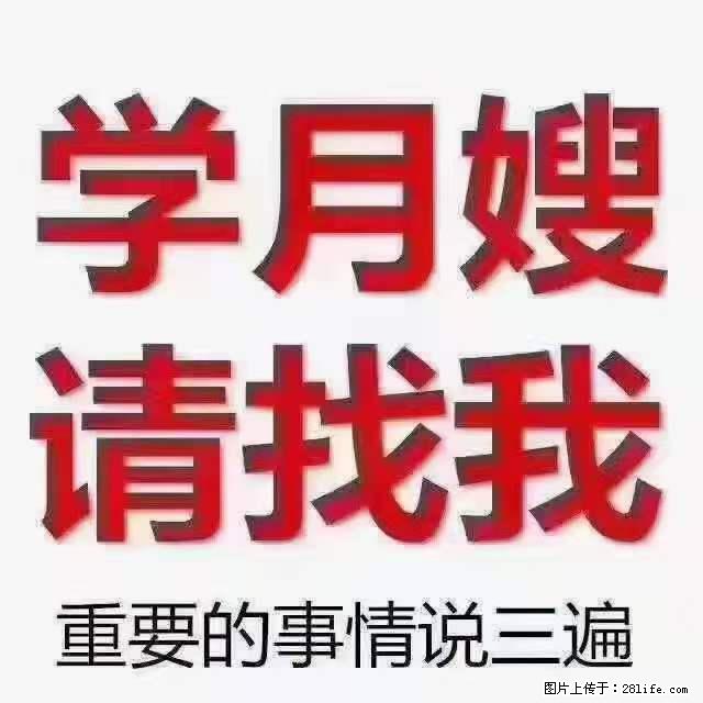 为什么要学习月嫂,育婴师? - 其他广告 - 广告专区 - 长春分类信息 - 长春28生活网 cc.28life.net