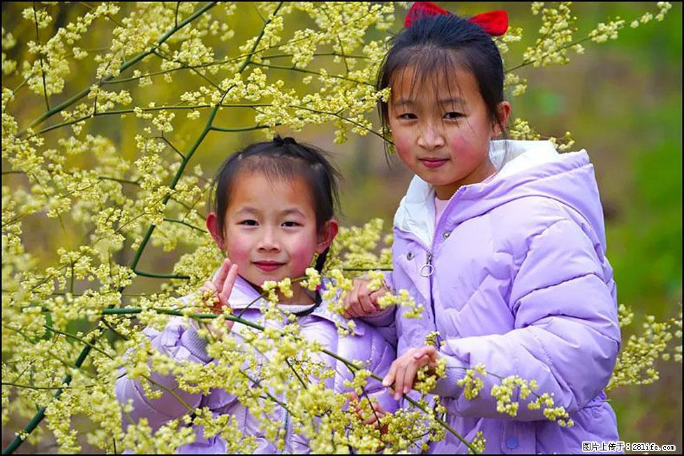 【春天，广西桂林灌阳县向您发出邀请！】米珠山前有片山苍子花在飘香 - 游山玩水 - 长春生活社区 - 长春28生活网 cc.28life.net