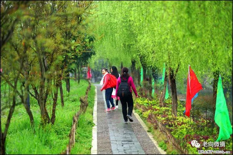 【春天，广西桂林灌阳县向您发出邀请！】江口老街又逢春 - 游山玩水 - 长春生活社区 - 长春28生活网 cc.28life.net
