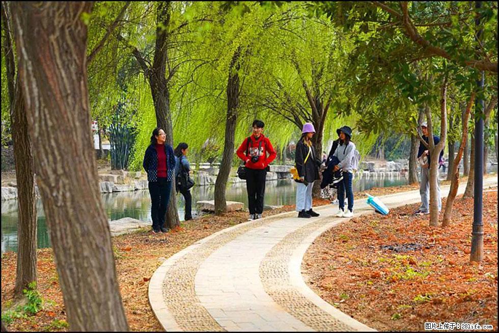 【春天，广西桂林灌阳县向您发出邀请！】江口老街又逢春 - 游山玩水 - 长春生活社区 - 长春28生活网 cc.28life.net