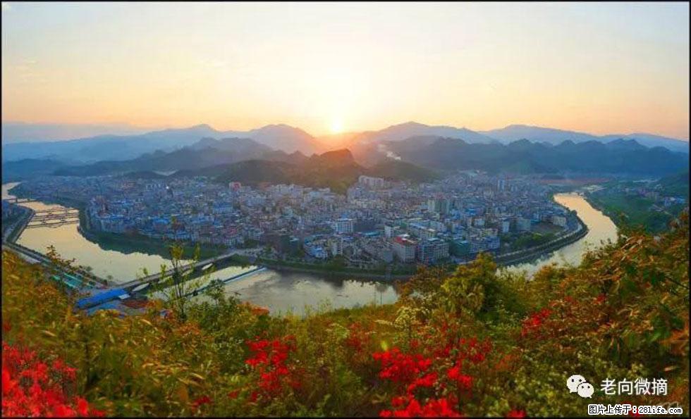 【春天，广西桂林灌阳县向您发出邀请！】登麒麟山，相约映山红 - 游山玩水 - 长春生活社区 - 长春28生活网 cc.28life.net