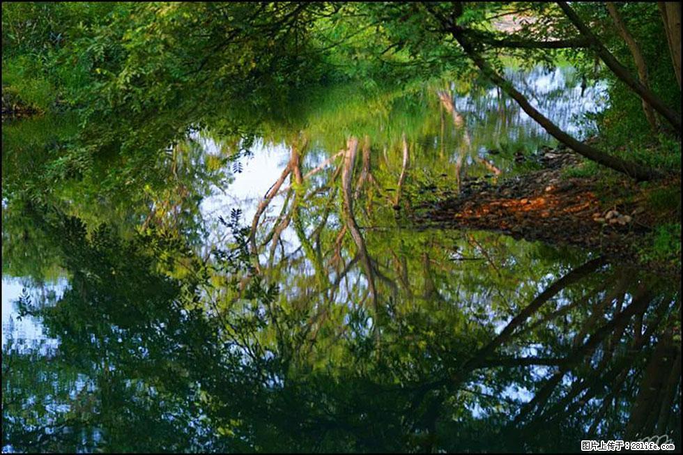 【春天，广西桂林灌阳县向您发出邀请！】熊家寨湿地公园 - 游山玩水 - 长春生活社区 - 长春28生活网 cc.28life.net