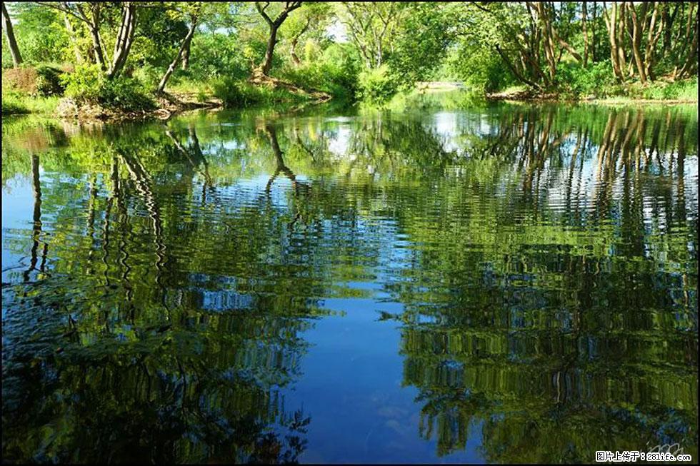 【春天，广西桂林灌阳县向您发出邀请！】熊家寨湿地公园 - 游山玩水 - 长春生活社区 - 长春28生活网 cc.28life.net