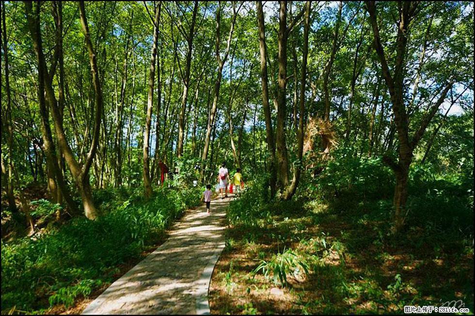 【春天，广西桂林灌阳县向您发出邀请！】熊家寨湿地公园 - 游山玩水 - 长春生活社区 - 长春28生活网 cc.28life.net