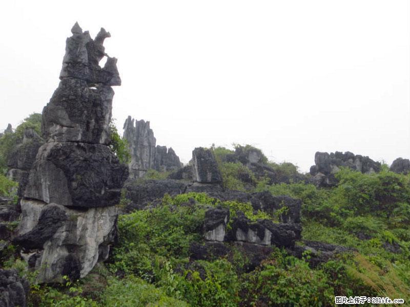桂林旅游名城景点:灌阳文市石林 - 游山玩水 - 长春生活社区 - 长春28生活网 cc.28life.net