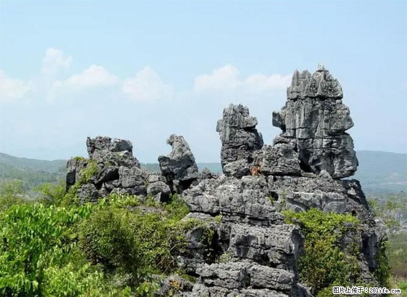 桂林旅游名城景点:灌阳文市石林 - 游山玩水 - 长春生活社区 - 长春28生活网 cc.28life.net