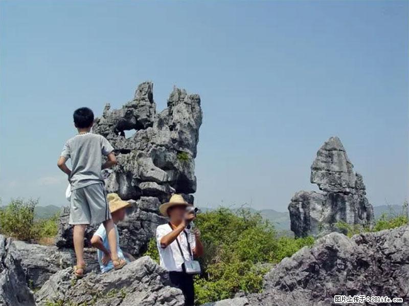 桂林旅游名城景点:灌阳文市石林 - 游山玩水 - 长春生活社区 - 长春28生活网 cc.28life.net