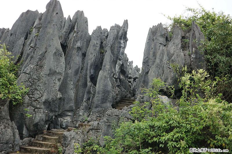 桂林旅游名城景点:灌阳文市石林 - 游山玩水 - 长春生活社区 - 长春28生活网 cc.28life.net