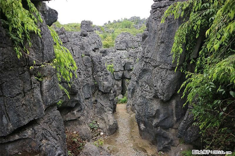 桂林旅游名城景点:灌阳文市石林 - 游山玩水 - 长春生活社区 - 长春28生活网 cc.28life.net