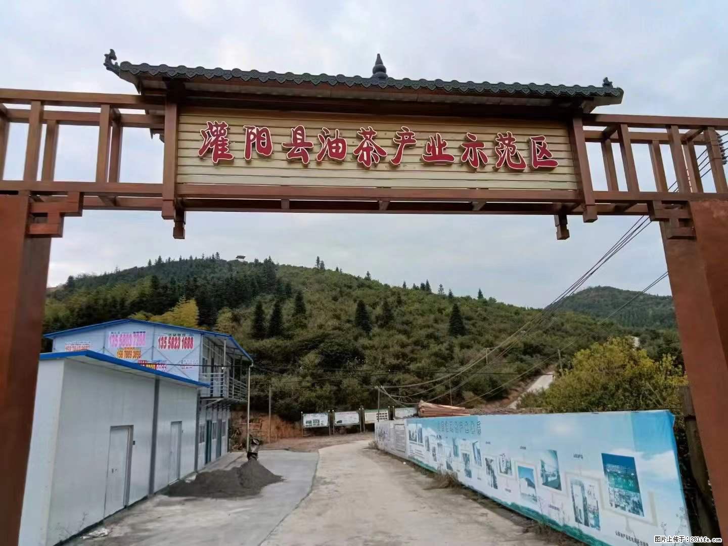 【灌阳县油茶产业示范区】一个有着充实的精神生活的人,对待身外之物自会有一种淡泊的态度 - 土特产 - 饮食特产 - 长春分类信息 - 长春28生活网 cc.28life.net