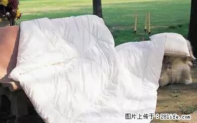 被子有异味？只要这样做，比晒太阳还强100倍！ - 家居生活 - 长春生活社区 - 长春28生活网 cc.28life.net