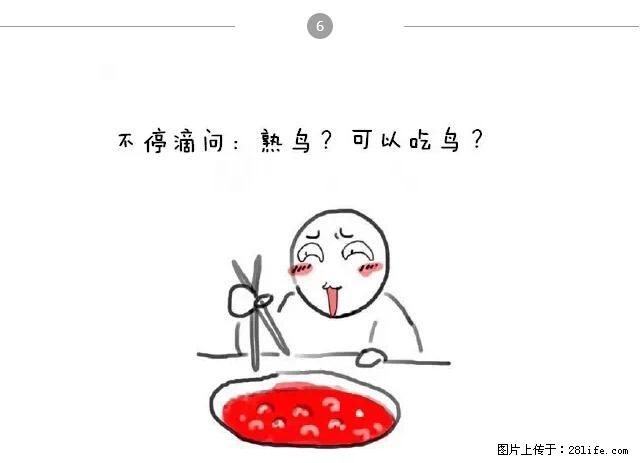 千万不要和这9种哈卵一起吃火锅！ - 美食天地 - 长春生活社区 - 长春28生活网 cc.28life.net