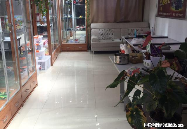 卫星广场长大对面（星城国际）新出精装复试（屋内干净）交通方便 - 房屋出租 - 房屋租售 - 长春分类信息 - 长春28生活网 cc.28life.net