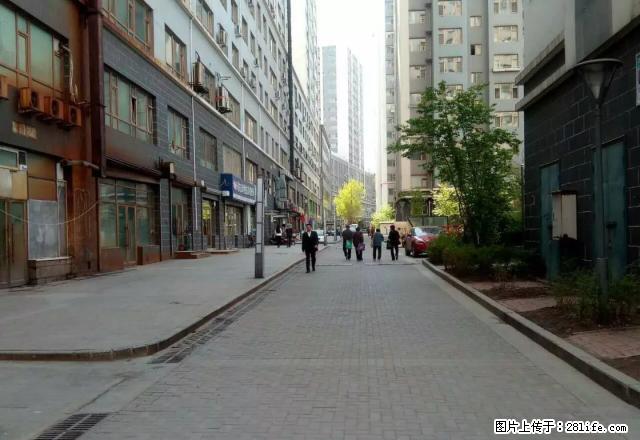 重庆路新天地万晟现代城精装两室一厅拎包住 - 房屋出租 - 房屋租售 - 长春分类信息 - 长春28生活网 cc.28life.net