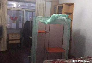 (单间出租)崇智路与永安街交汇 政府宿舍 2室1厅 主卧 900每月 - 长春28生活网 cc.28life.net