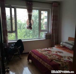可短租彩虹风景一室精装设施全拎包入住 实景图片 - 长春28生活网 cc.28life.net