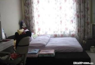 宜家7080 一居室 精装修 随时看房 拎包入住 轻轨沿线 - 长春28生活网 cc.28life.net