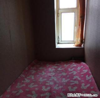 (单间出租)高档白领公寓 开运街与湖西路交汇出租 单间 双人间 电脑间 - 长春28生活网 cc.28life.net