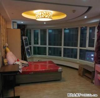 红旗街 盛世城 精装公寓 绝美扇形设施齐全 包物业采暖随时看 - 长春28生活网 cc.28life.net
