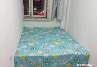 (单间出租)精装修公寓.全部石墙，男女不限 - 长春28生活网 cc.28life.net