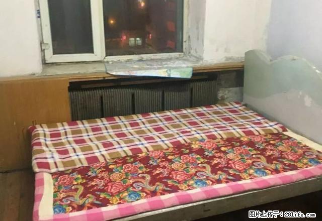 朝阳小区 雷锋学校附近 87中学附近 - 房屋出租 - 房屋租售 - 长春分类信息 - 长春28生活网 cc.28life.net
