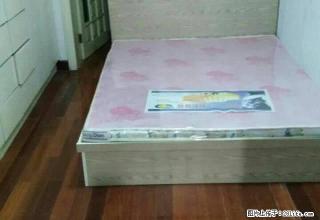 房主直租，恒客隆，中东，中日附近，有多套房源出租。 - 长春28生活网 cc.28life.net