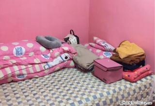 (单间出租)石墙插间设计专人管理临近商圈 - 长春28生活网 cc.28life.net