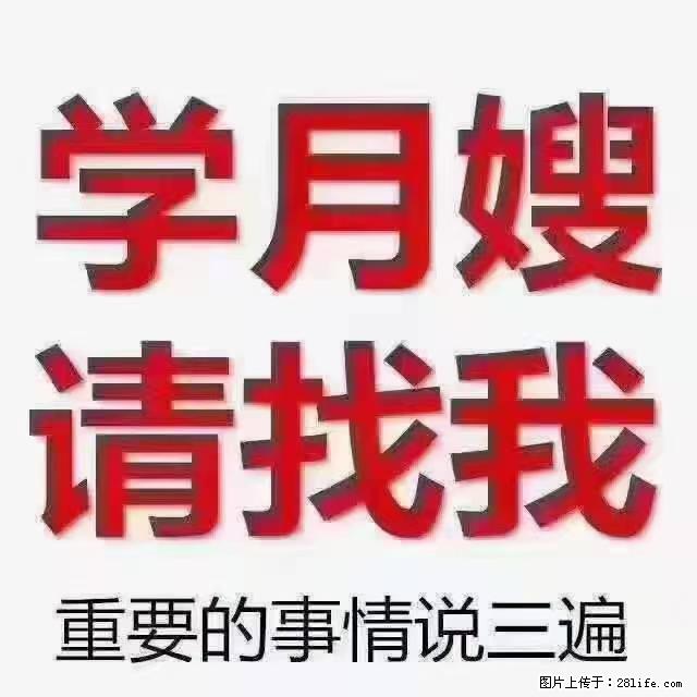【招聘】月嫂，上海徐汇区 - 职场交流 - 长春生活社区 - 长春28生活网 cc.28life.net