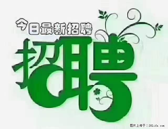上海青浦区招仓管 - 职场交流 - 长春生活社区 - 长春28生活网 cc.28life.net