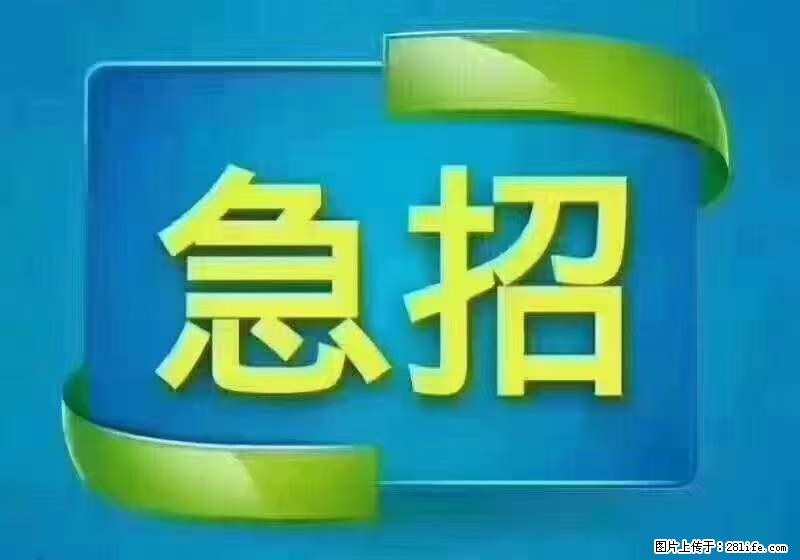 招出纳8000元/月，无证可以，要有相关经验，上海五险一金，包住，包工作餐，做六休一。 - 职场交流 - 长春生活社区 - 长春28生活网 cc.28life.net