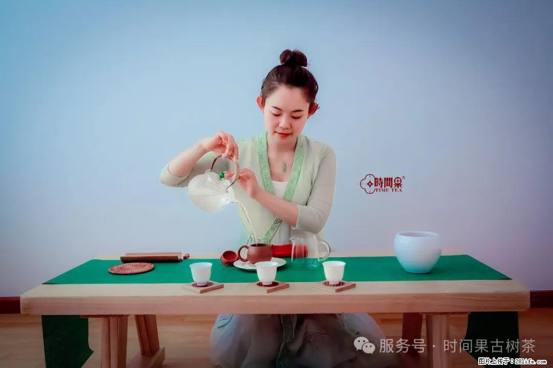 时间果百年古树龙珠普洱生茶 - 购物交流 - 长春生活社区 - 长春28生活网 cc.28life.net