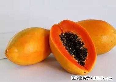 晕车、脚气、牙齿变黄、皮肤粗糙？学会这些三分钟搞定！ - 长春生活资讯 - 长春28生活网 cc.28life.net