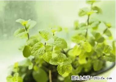 晕车、脚气、牙齿变黄、皮肤粗糙？学会这些三分钟搞定！ - 长春生活资讯 - 长春28生活网 cc.28life.net