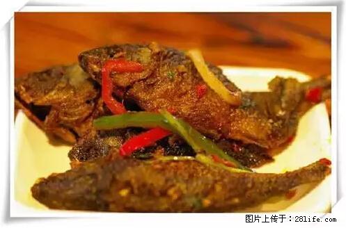 来广西旅游必吃这20道桂菜，不然就白来广西啦！ - 长春生活资讯 - 长春28生活网 cc.28life.net