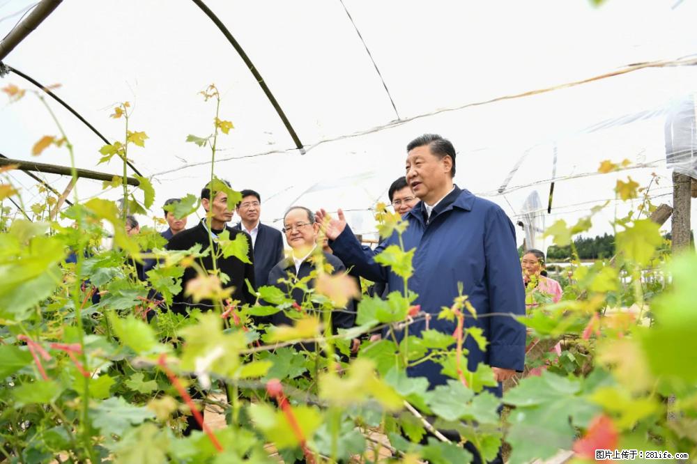 习近平赴广西考察调研 - 长春生活资讯 - 长春28生活网 cc.28life.net