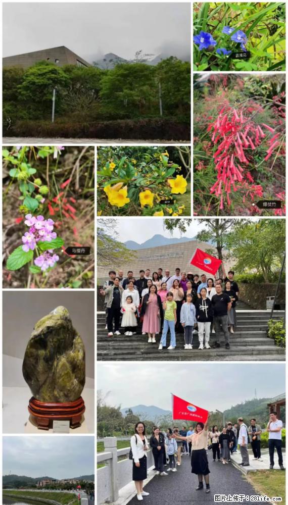 “粤灌文化 美好生活”油茶文化主题活动在广东深圳成功举办 - 长春生活资讯 - 长春28生活网 cc.28life.net