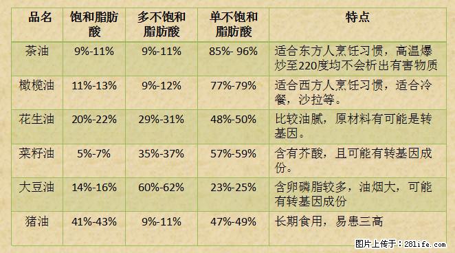 揭秘茶油的5大核心营养成分！被称为人体健康的“守护盾”！ - 长春生活资讯 - 长春28生活网 cc.28life.net