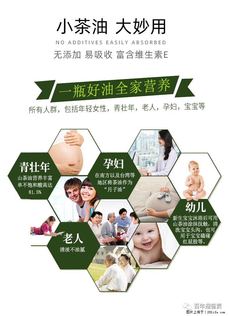 世界没有真相，只有认知，最好的食用油是中国的山茶油！ - 长春生活资讯 - 长春28生活网 cc.28life.net