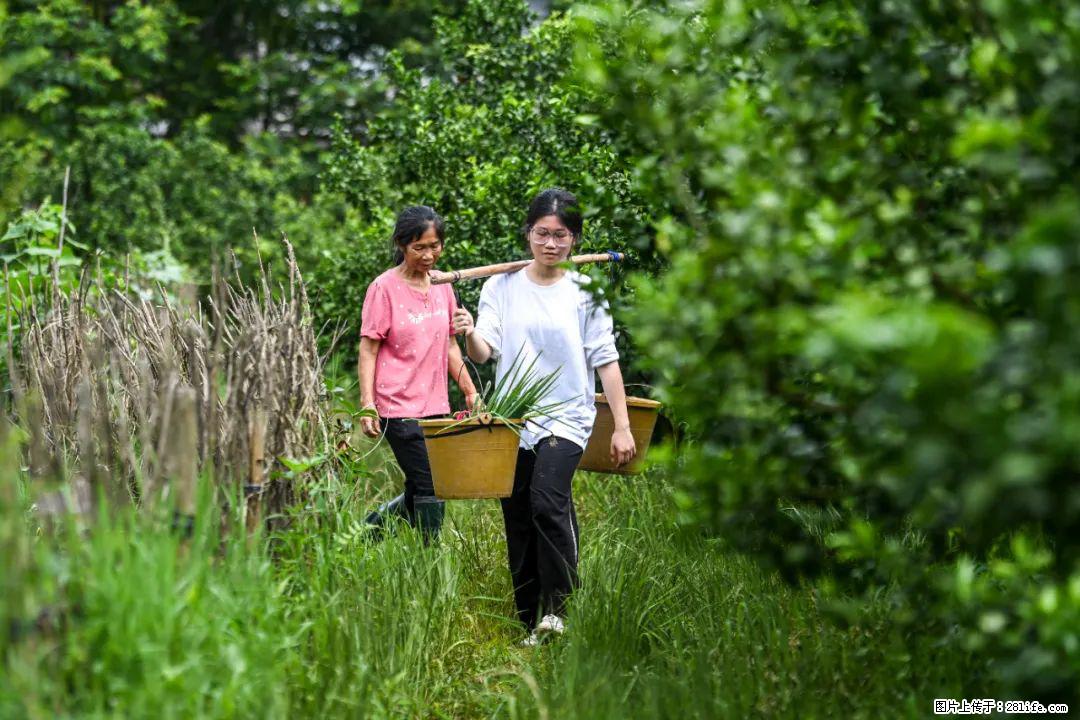 全网追的“扁担女孩”，找了一份暑假工，时薪12元 - 长春生活资讯 - 长春28生活网 cc.28life.net