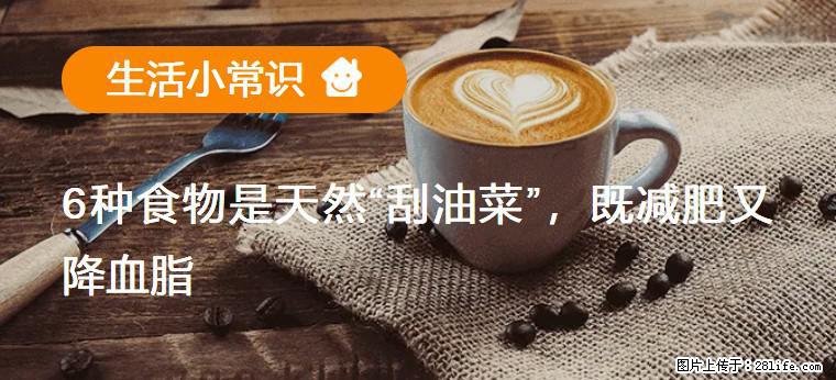 【生活小常识】6种食物是天然“刮油菜”，既减肥又降血脂 - 长春生活资讯 - 长春28生活网 cc.28life.net