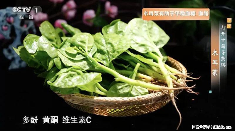 比牛奶补钙还厉害！凉血解毒、稳血糖...这菜冬天必吃，很多人却当草 - 长春生活资讯 - 长春28生活网 cc.28life.net