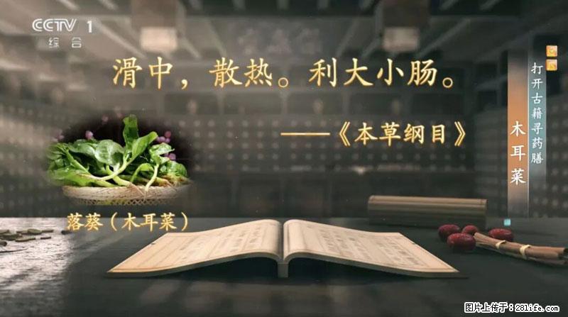 比牛奶补钙还厉害！凉血解毒、稳血糖...这菜冬天必吃，很多人却当草 - 长春生活资讯 - 长春28生活网 cc.28life.net