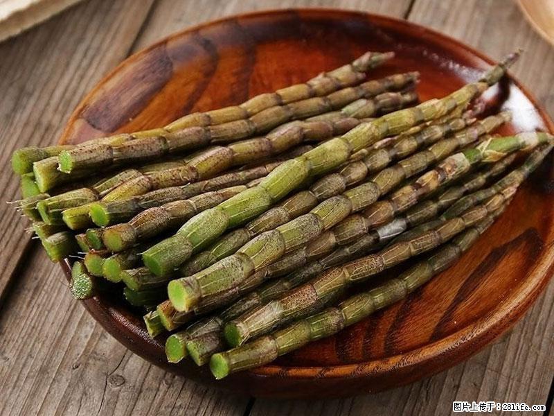 铁皮石斛的作用与功能主治 - 长春生活资讯 - 长春28生活网 cc.28life.net