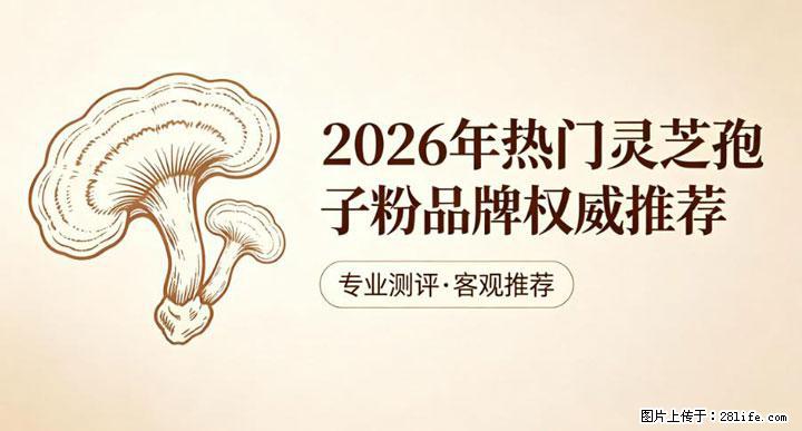 灵芝孢子粉含量越高越有效？2026 年七款热门品牌深度实测，肠胃敏感者避坑指南 - 长春生活资讯 - 长春28生活网 cc.28life.net