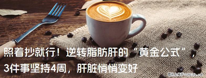 照着抄就行！逆转脂肪肝的“黄金公式”，3件事坚持4周，肝脏悄悄变好 - 长春生活资讯 - 长春28生活网 cc.28life.net